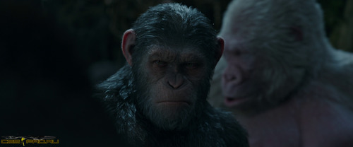 Планета обезьян: Война / War for the Planet of the Apes (2017) BDRip 1080p от ExKinoRay | D, L1 | iTunes - 4