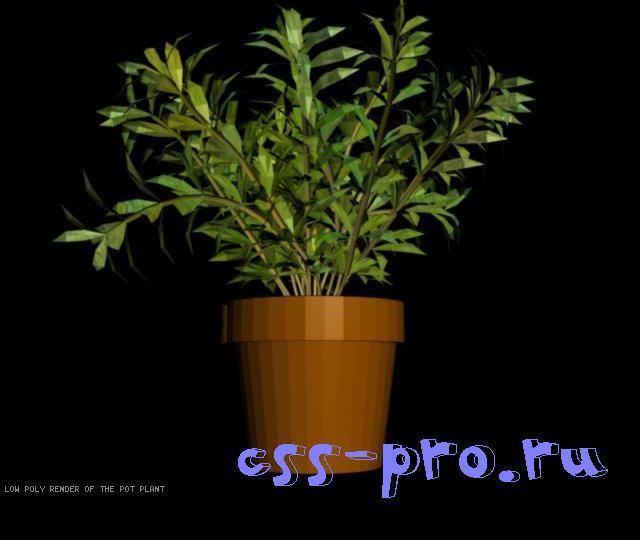 Скин (модель) С4 (Pot Plant C4) для css