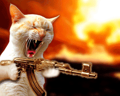 Кот с АК-47!