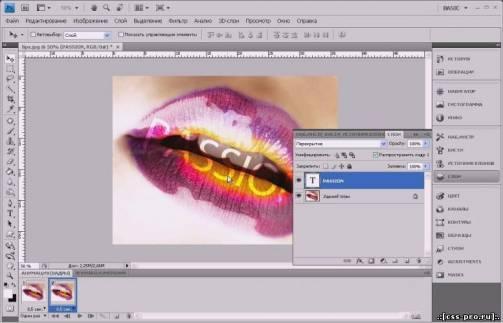 Мультимедийная школа Adobe Photoshop CS4 (RUS) - 1