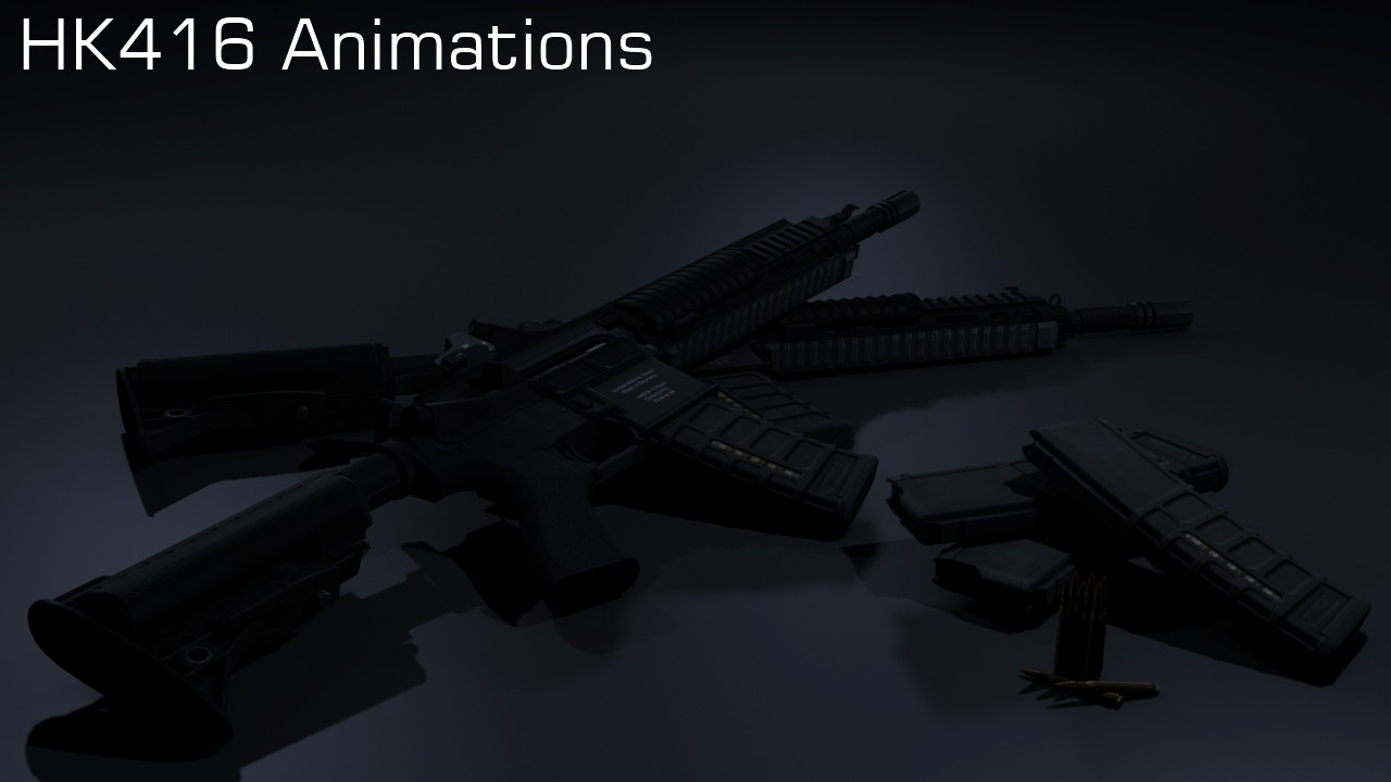 HK416 Animations