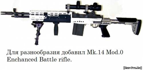 M14 Tactical - 5