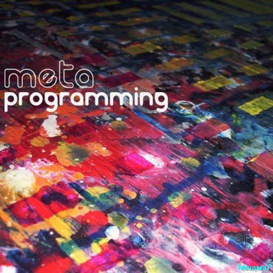 Meta Program - Meta Programming - 2010