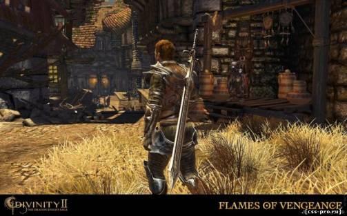 Divinity 2: Flames of Vengeance (2010/PC/Ger) - 1