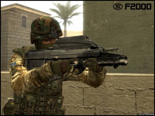 S.T.A.L.K.E.R. FN F2000 - 4