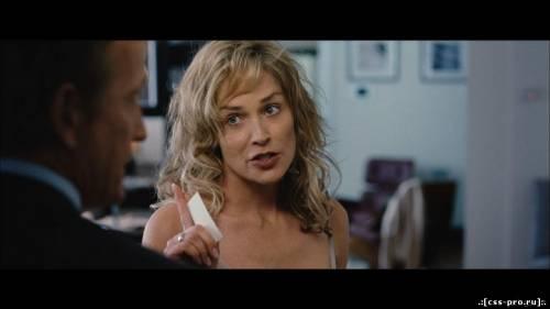 Ларго Винч 2: Заговор в Бирме / 2011 / Blu-Ray (1080p) - 1