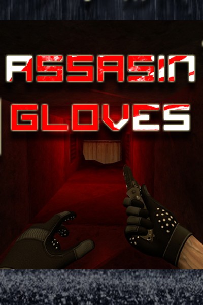 Assasin Gloves