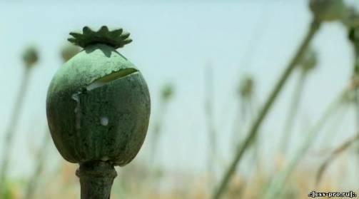 Риск стрелка Шарпа. Sharpe`s Peril [2008][DVDRip-AVI] - 4