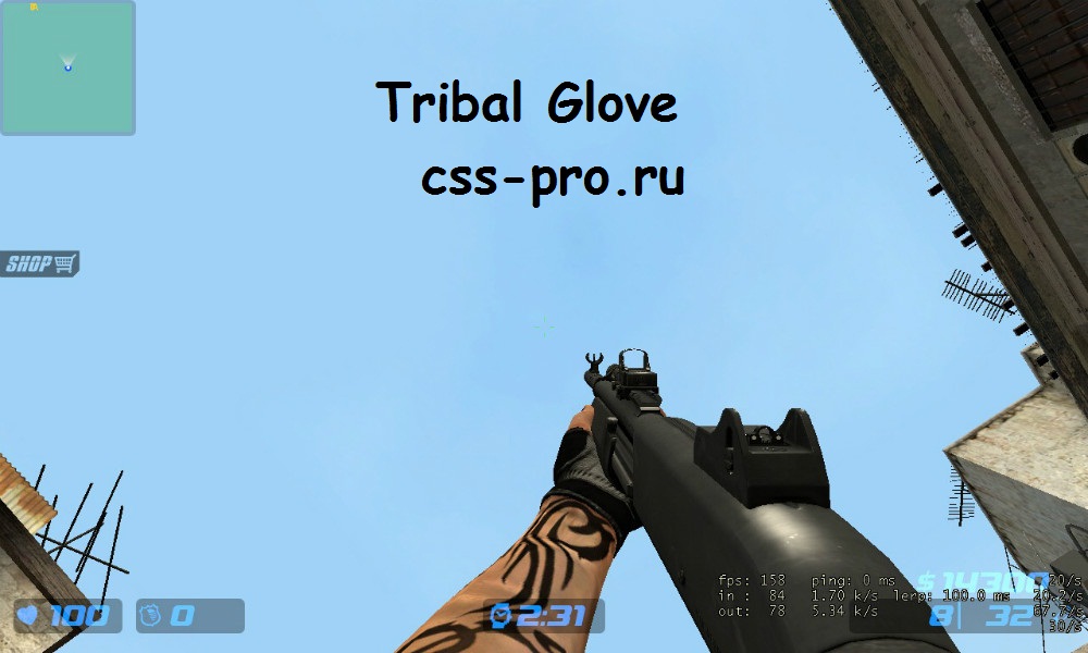 Tribal Glove