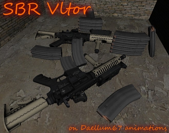 SBR Vltor Customized