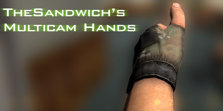 Multicam Hands