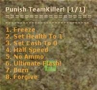 TK Punish / Наказание за убийство друзей по команде!