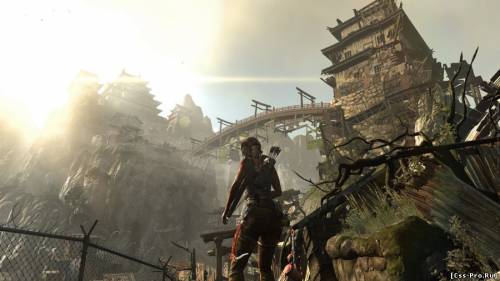 Tomb Raider: Survival Edition (2013) РС - 2