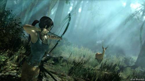 Tomb Raider: Survival Edition (2013) РС - 3